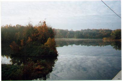 Lake Mackintosh